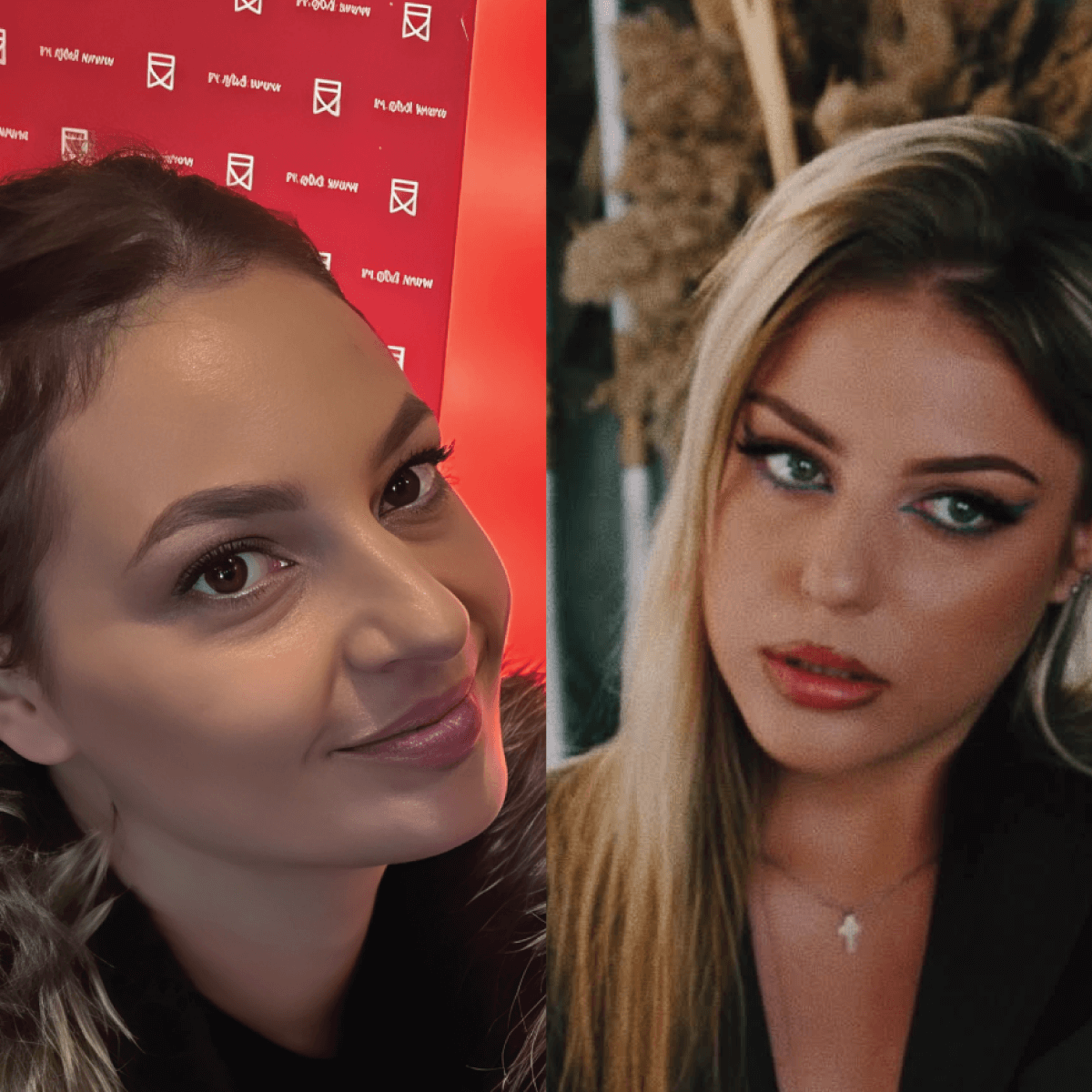 Industry pitch 6 Sofia Ana